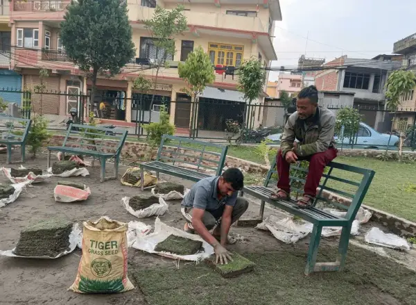 Community Garden