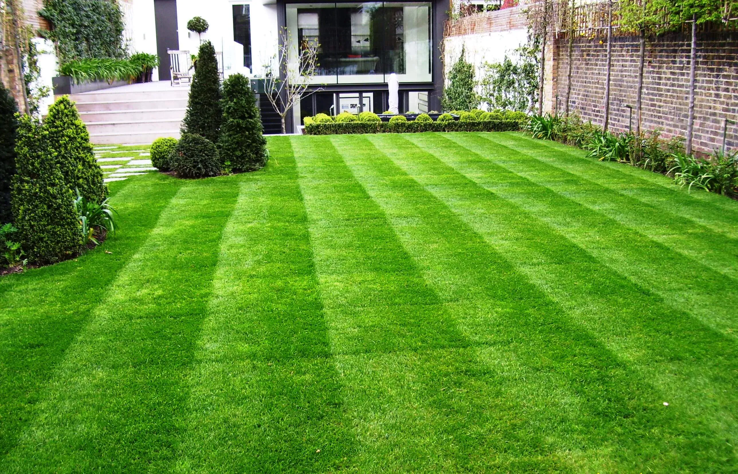 Evergreen Lawn