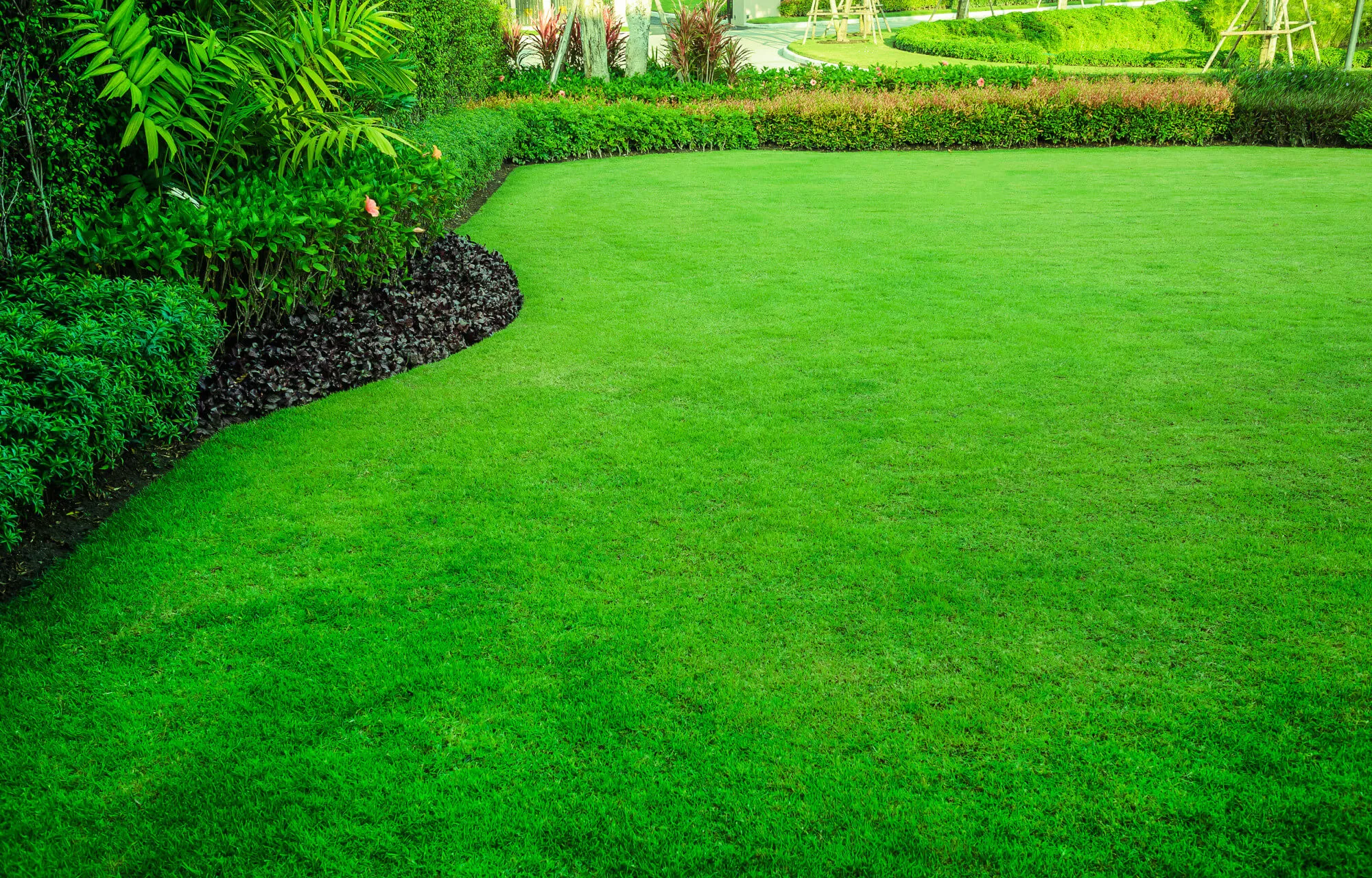 Meadow Lawn